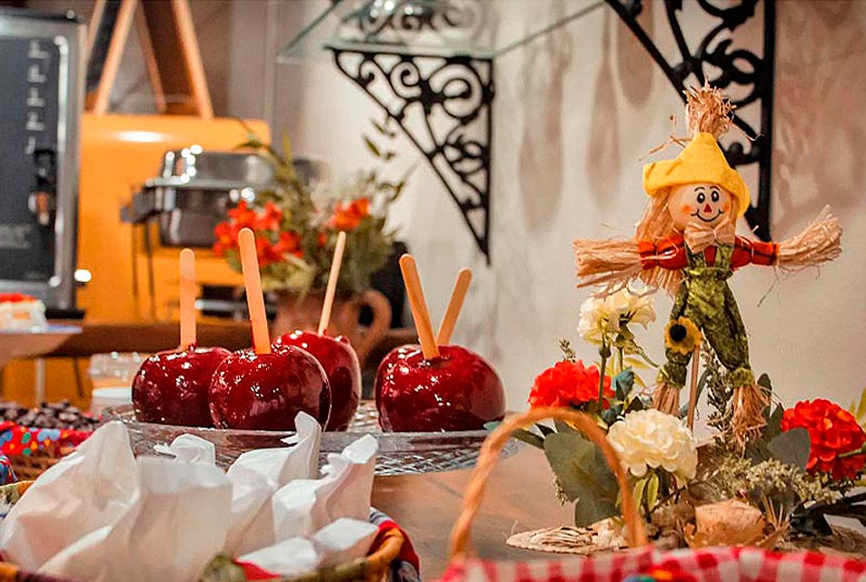 Pacotes e Promoções Pousada Vila 505