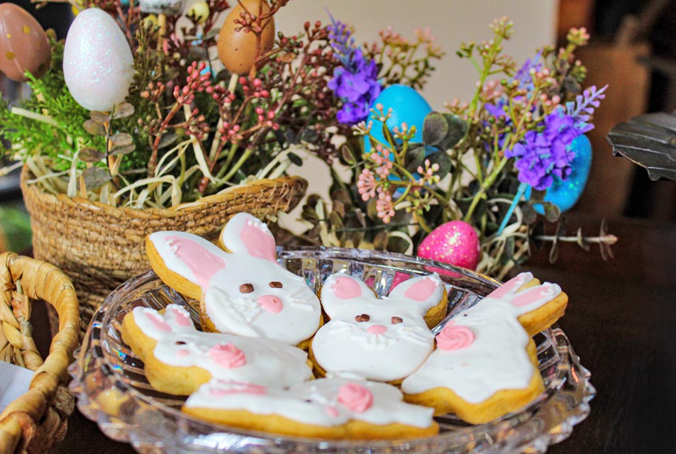 Pacotes Promoções Pousada Canela